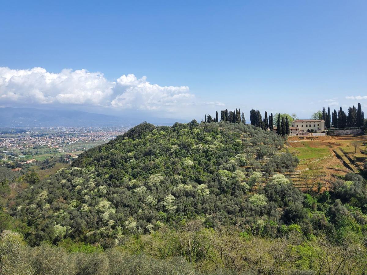 Villetta Farfallina "The Unique Property In The World With An Openable Roof" لوكا المظهر الخارجي الصورة